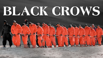 Black Crows (2017)