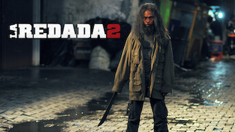 La redada 2 (2014)